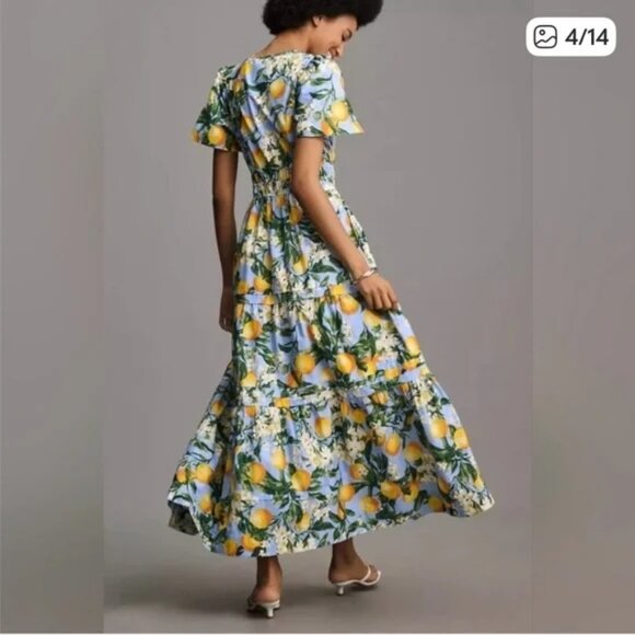 Anthropologie Somerset Maxi Dress - Picture 4 of 4